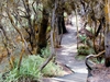 rotorua-park-2