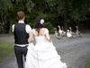 valentine-wedding-2010-12-10_0559